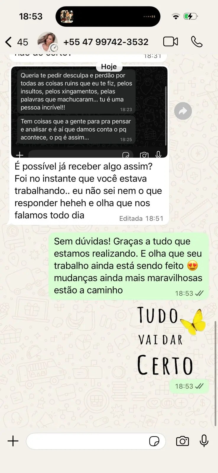 Ele pediu desculpas por tudo — 'olha que nos falamos todo dia'.